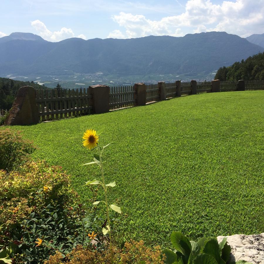 הוילה קורדו Agriturismo Alpenvidehof מראה חיצוני תמונה
